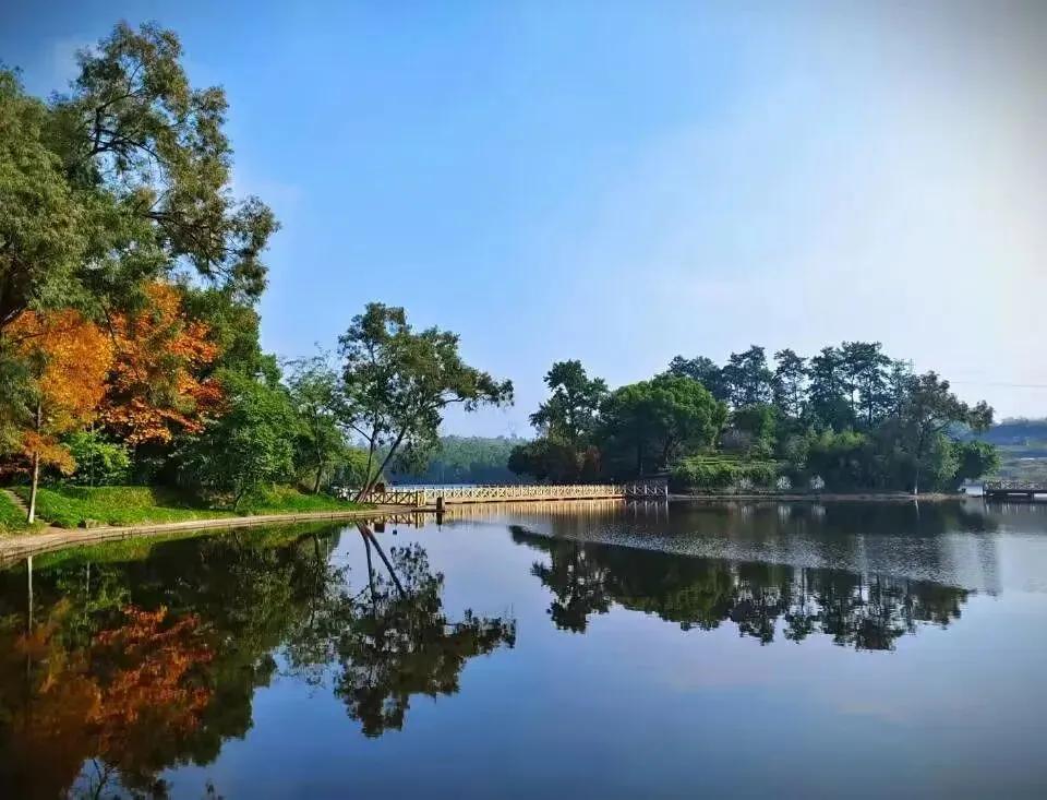 权威发布|重庆文理学院2023年本科招生章程