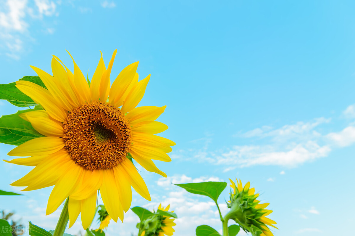 男人爱不爱你看你穿衣就知道,男人爱不爱你看他的态度就知道