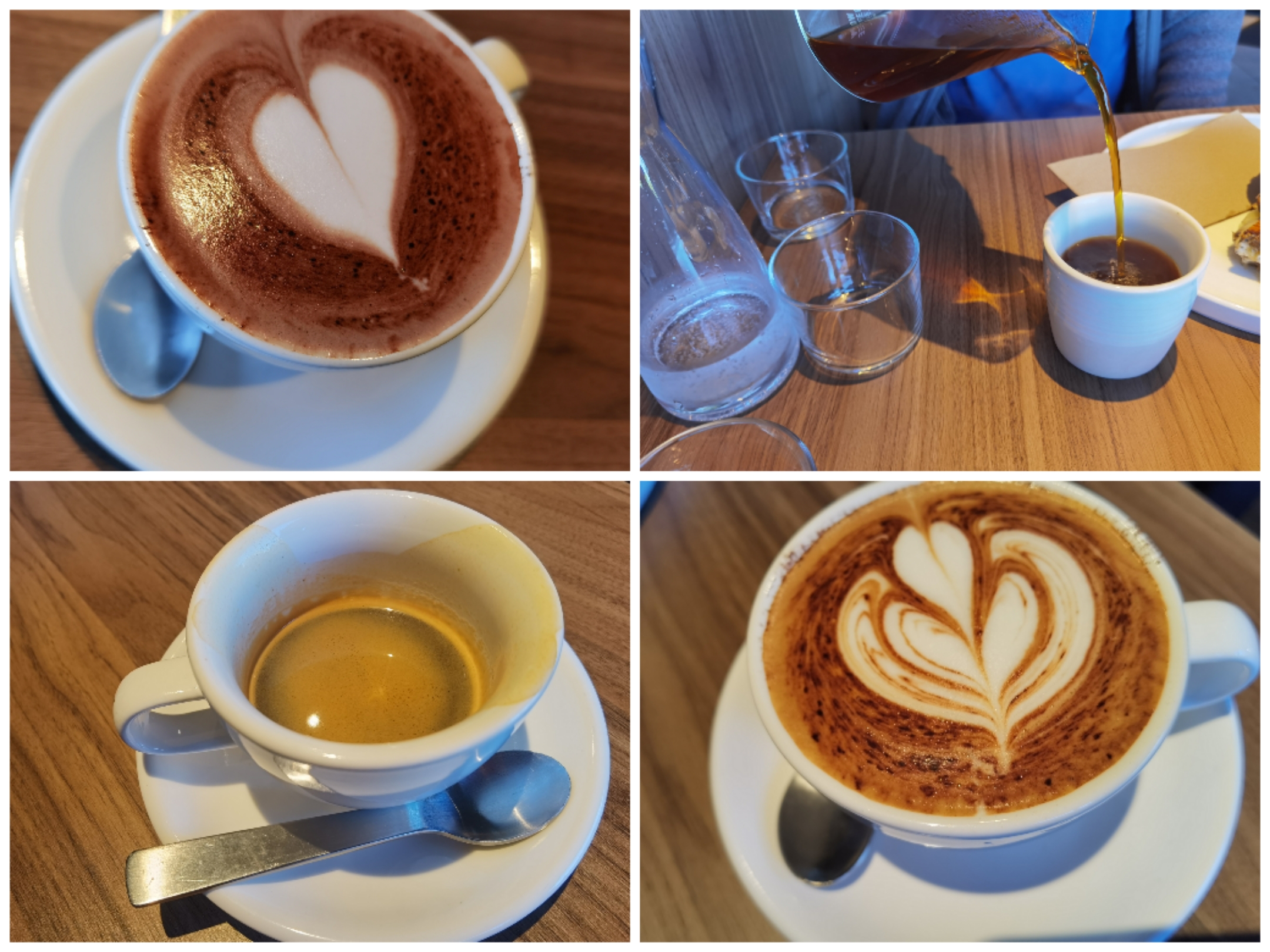 悉尼四天自由行,意犹未尽韩语版