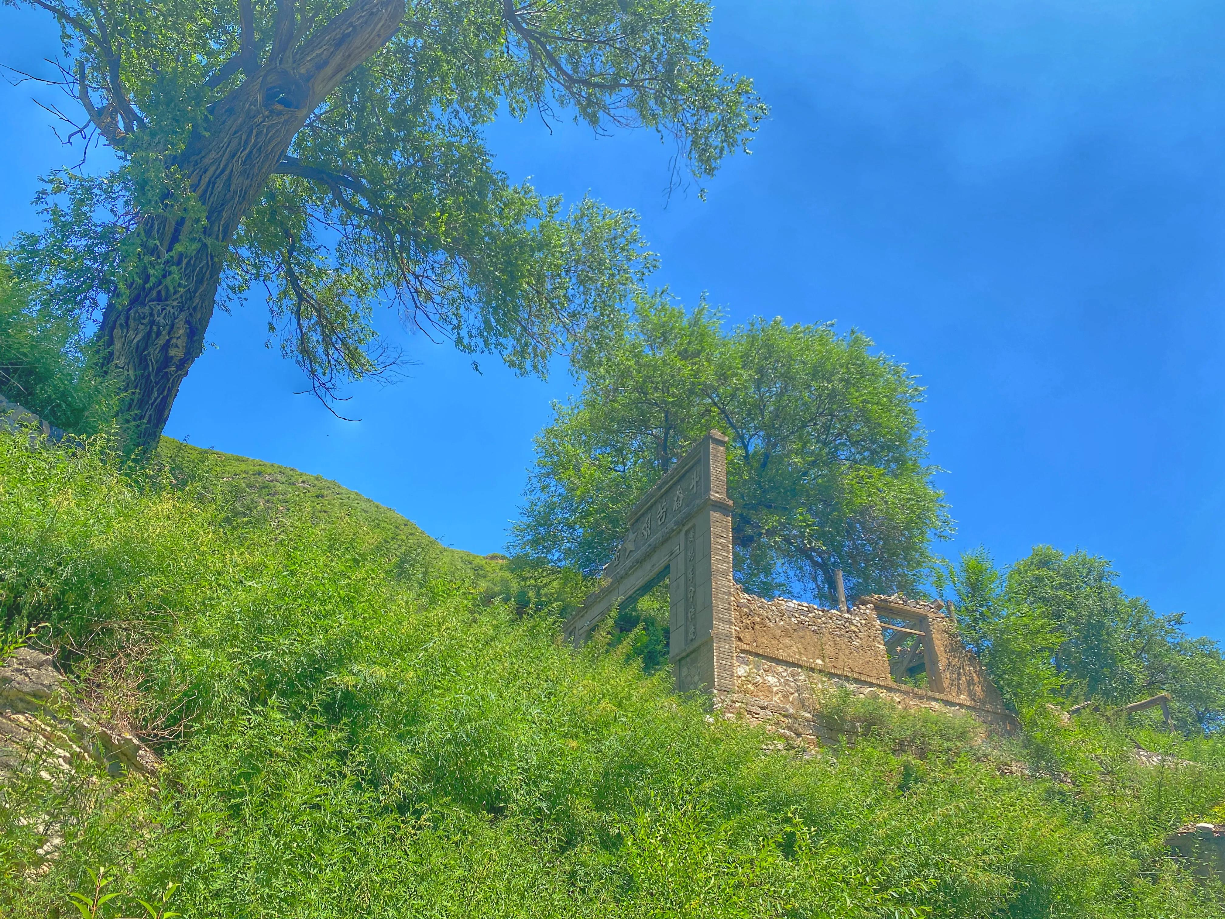 川西高山草甸云海露营,川西高原露营看云海星空