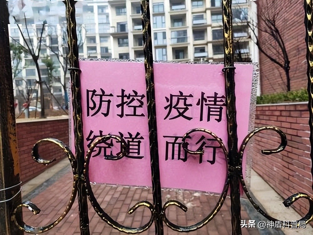 假如全球爆发新冠病毒,假如全国疫情结束会发生什么