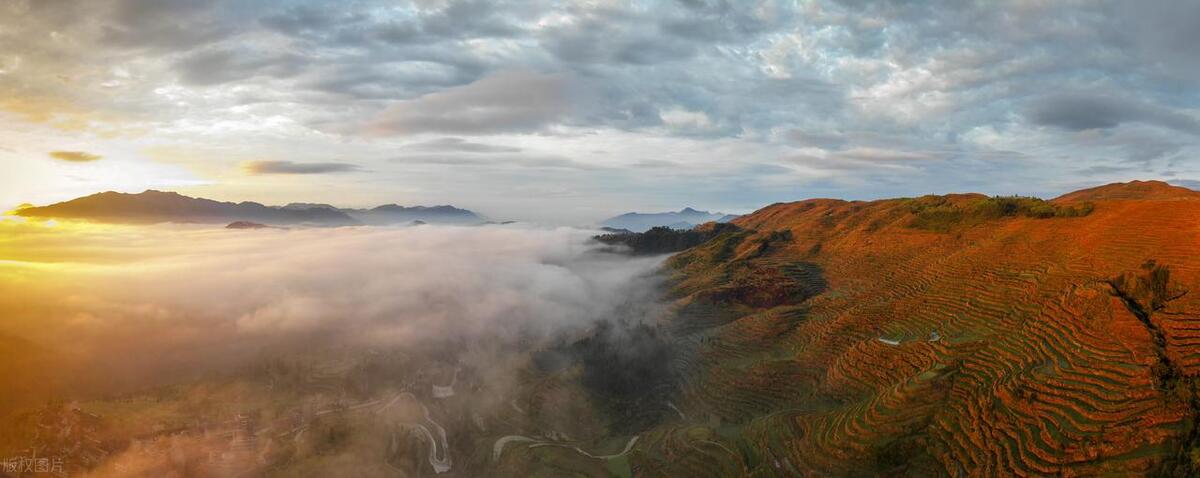 转网成功文案,转网的文案