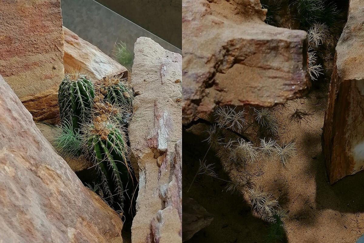 华为HarmonyOS3测评,华为发布harmonyos3界面