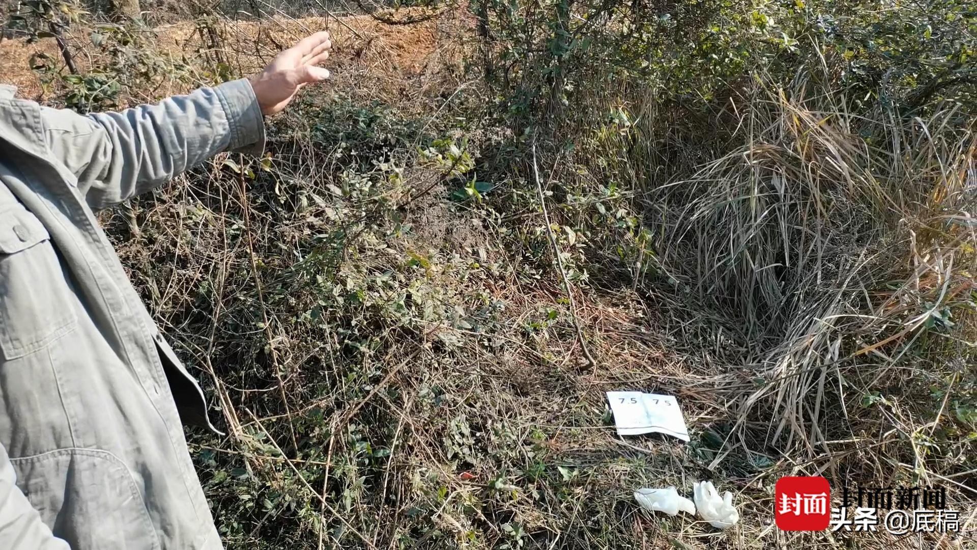 夫妻捕鱼失踪被击毙,夫妻深夜捕鱼被查