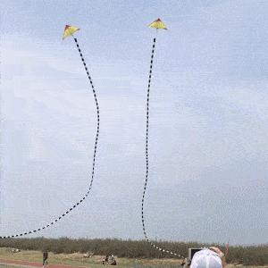 女子和同事打闹，用力过猛竟直接把*裤底**扯两半，羞得蹲地不敢起身