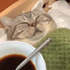 把老公的自拍照细节放大后，场面太刺激！哈哈哈哈