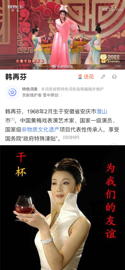 贾玲沈腾本色出演张小斐,贾玲张小斐2020微博之夜红毯视频