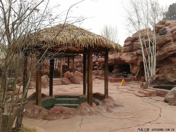 倪萍代言的产品有哪些,倪萍代言过的产品