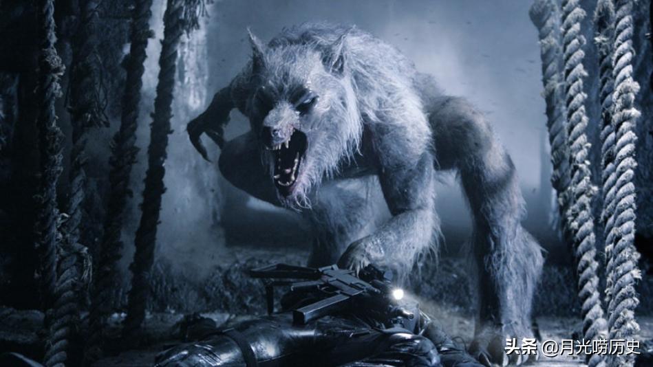 狼人事件的真正原因,狼人的真实事件狼人遇到了什么