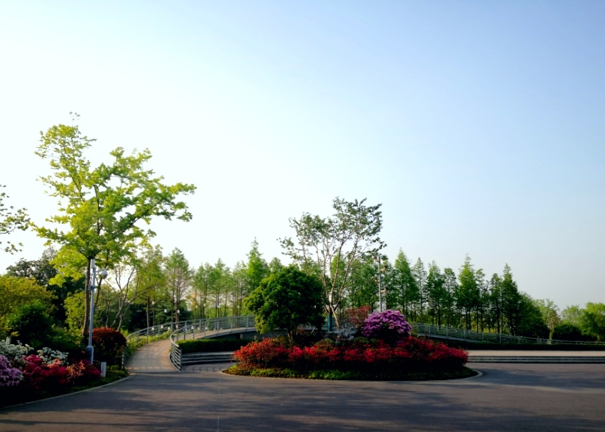凤凰公园景色美,常州凤凰公园美篇