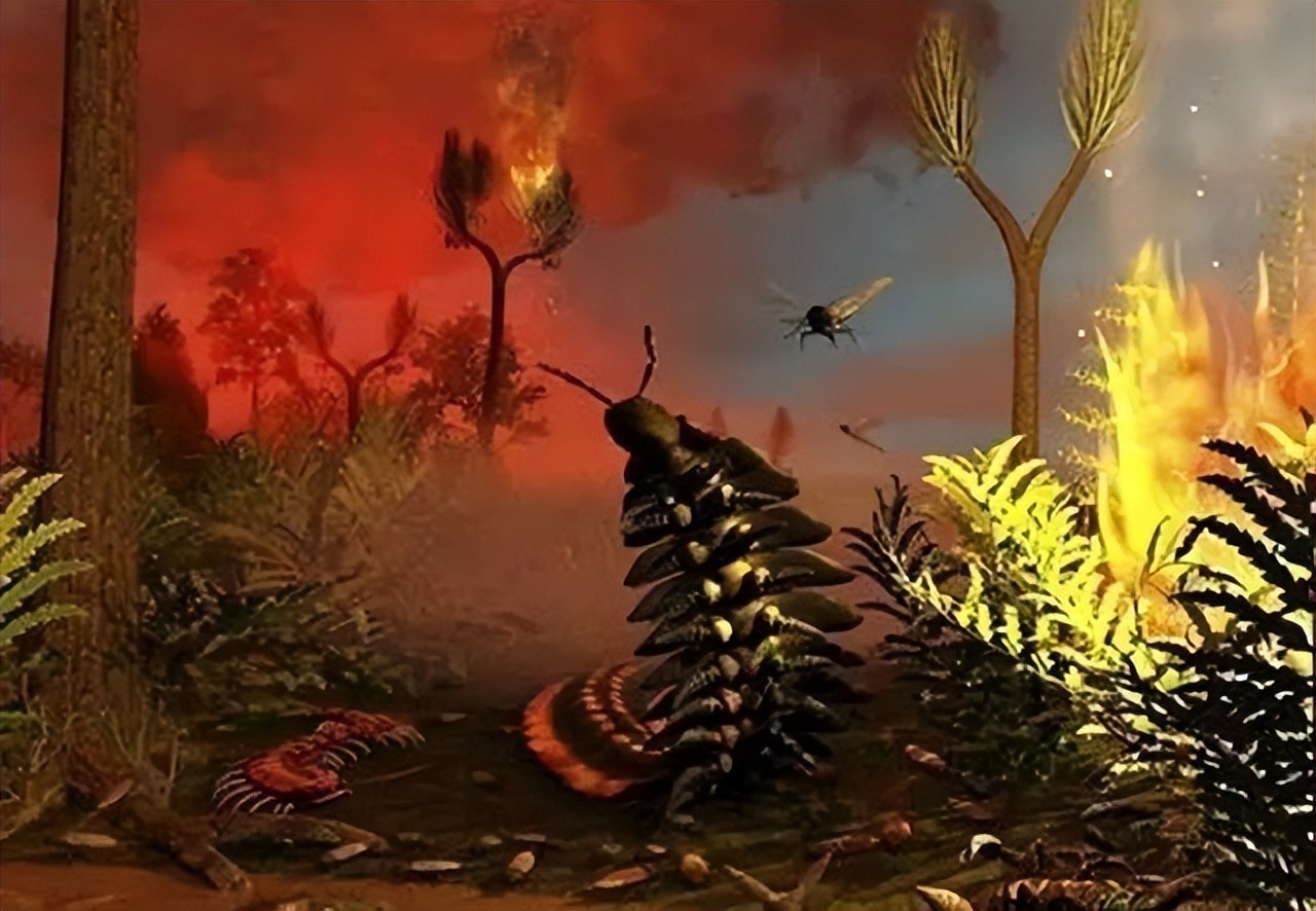 一颗来自地球的螺丝钉,发现外星人遗留的螺丝钉