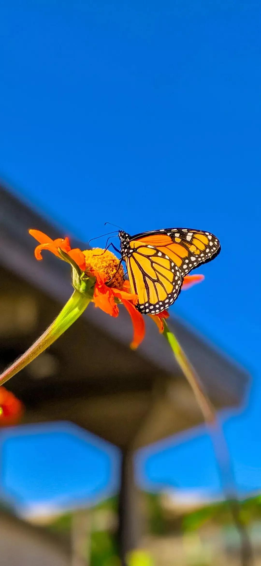 歼20高清壁纸4k全屏无水印,精选壁纸高清无水印高级感