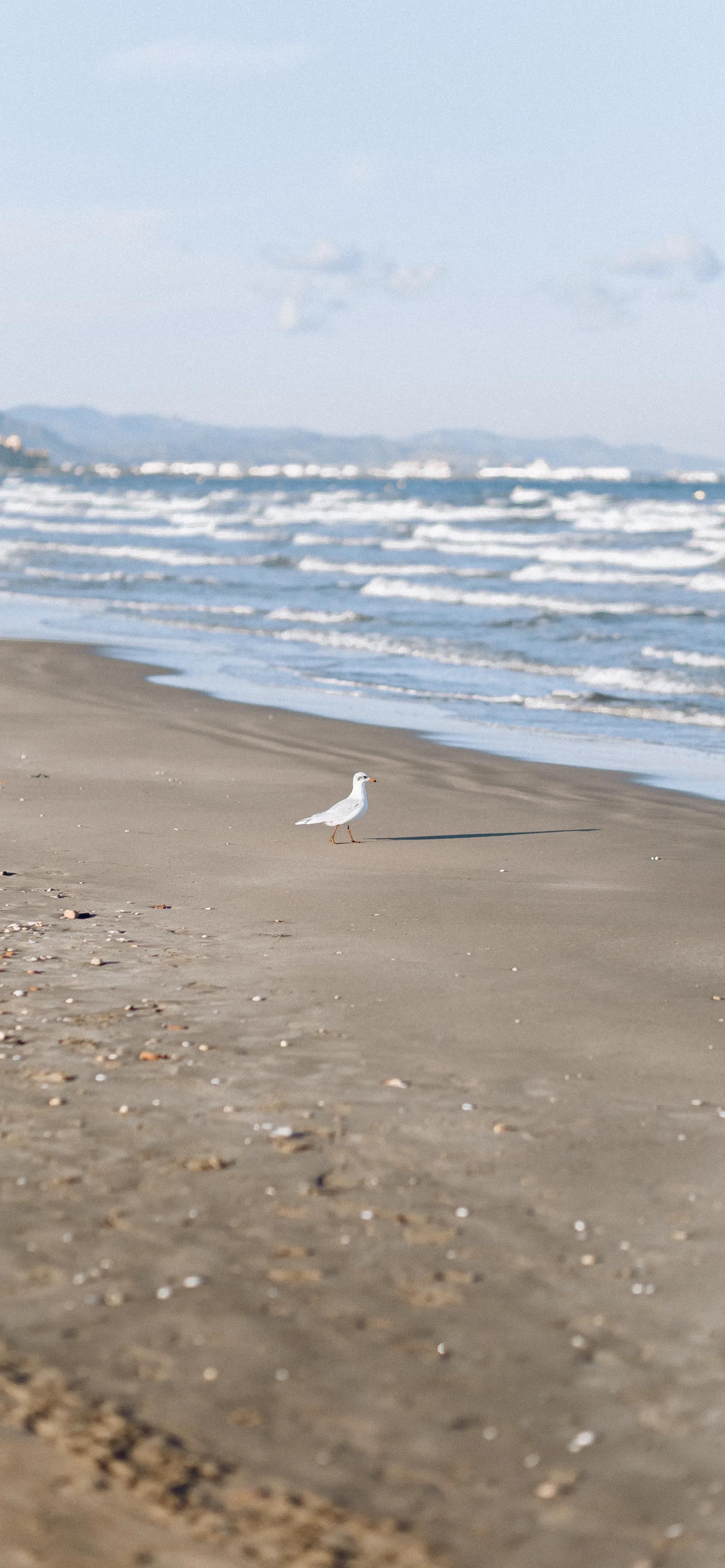海洋岛屿壁纸高清全屏,海浪沙滩壁纸全屏高清
