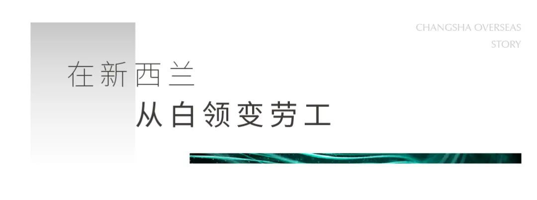 95后特特在新西兰：进厂切白菜，月入2万，感染新冠领千元补贴