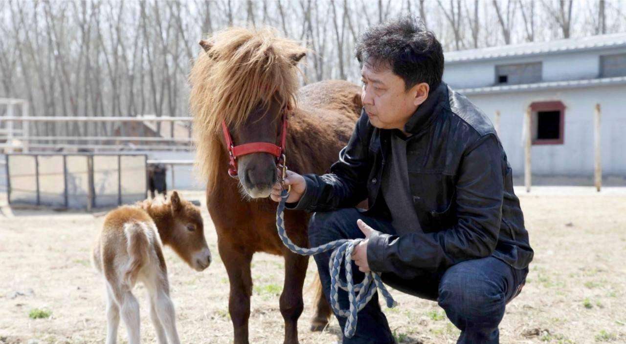 德云社二十年周年庆典于谦夫妻,德云社于谦马场