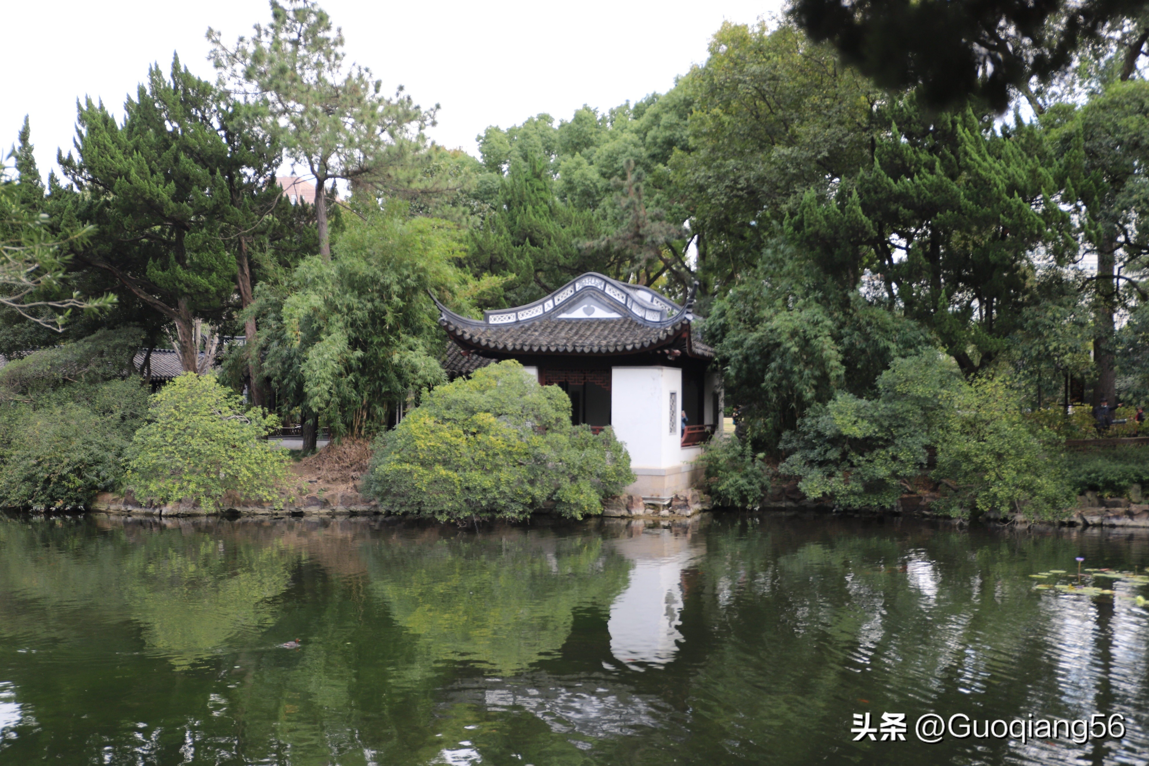 上海免费的公园有哪些,上海老年人免费公园