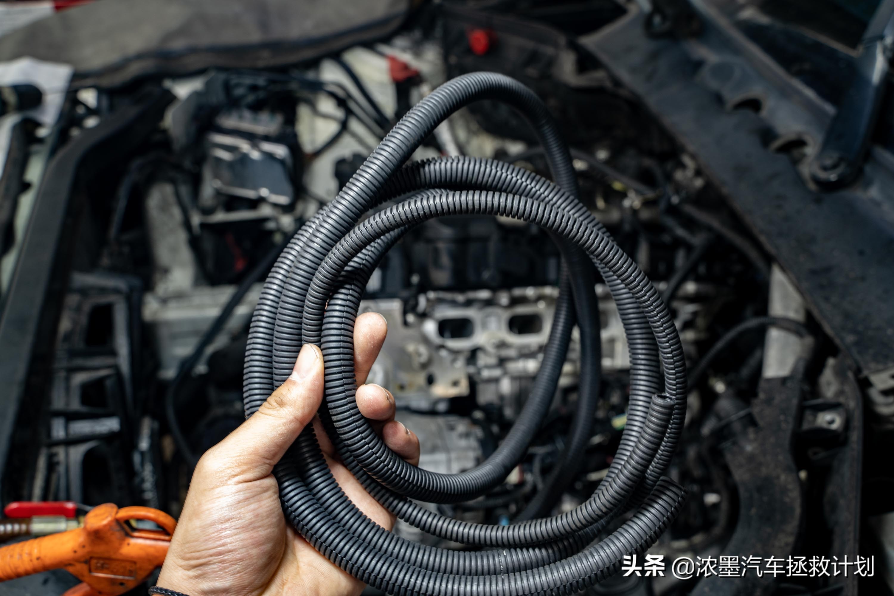 瀹岀編铚曞彉11娆惧疂椹瑇5婊¤澶嶆椿,鍏ㄩ潰鍗囩骇鏂颁竴浠ｅ疂椹瑇3缁嗚妭瀹炴媿