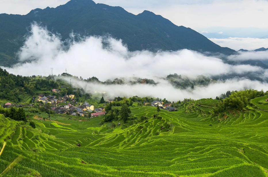 2013年西班牙富商恋上中国大妈，不惜放弃亿万资产，女方：不领证