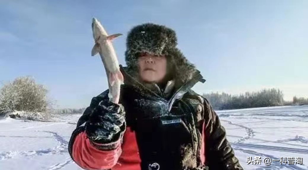 世界极寒奥伊米亚康最低气温,270去俄罗斯的奥伊米亚康极寒之地