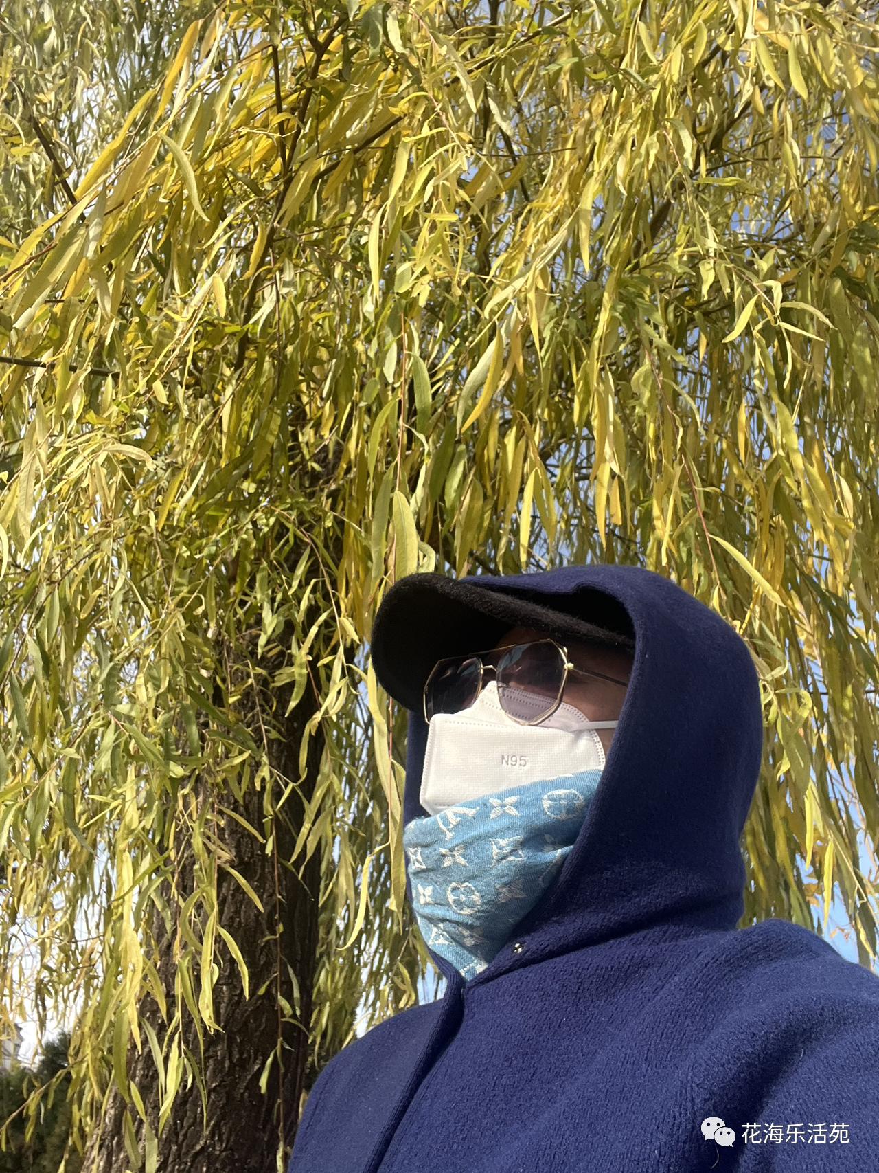 看足球赛日记200字,看世界杯足球比赛作文