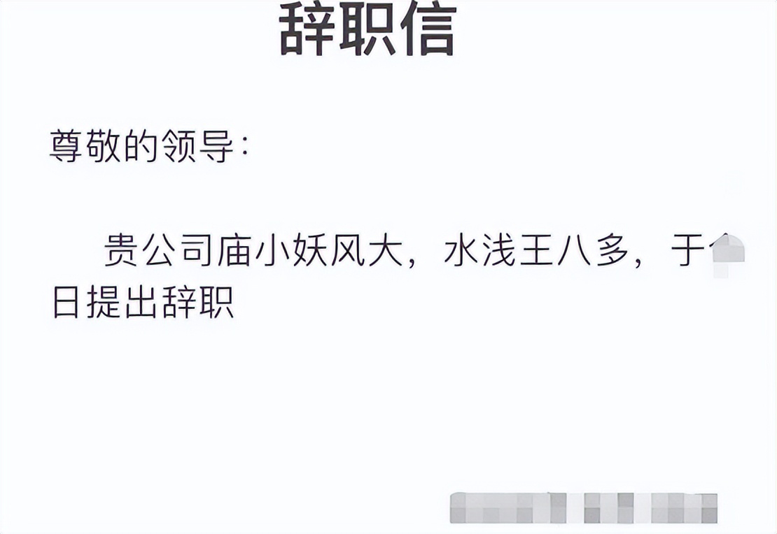 00后辞职信走红90后感慨自己老了,毕业生辞职信走红网友太有个性