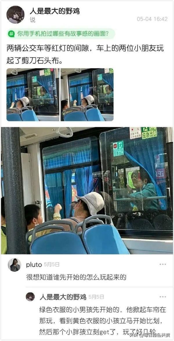 盘点那些“盐选神回复”,盐选神回复