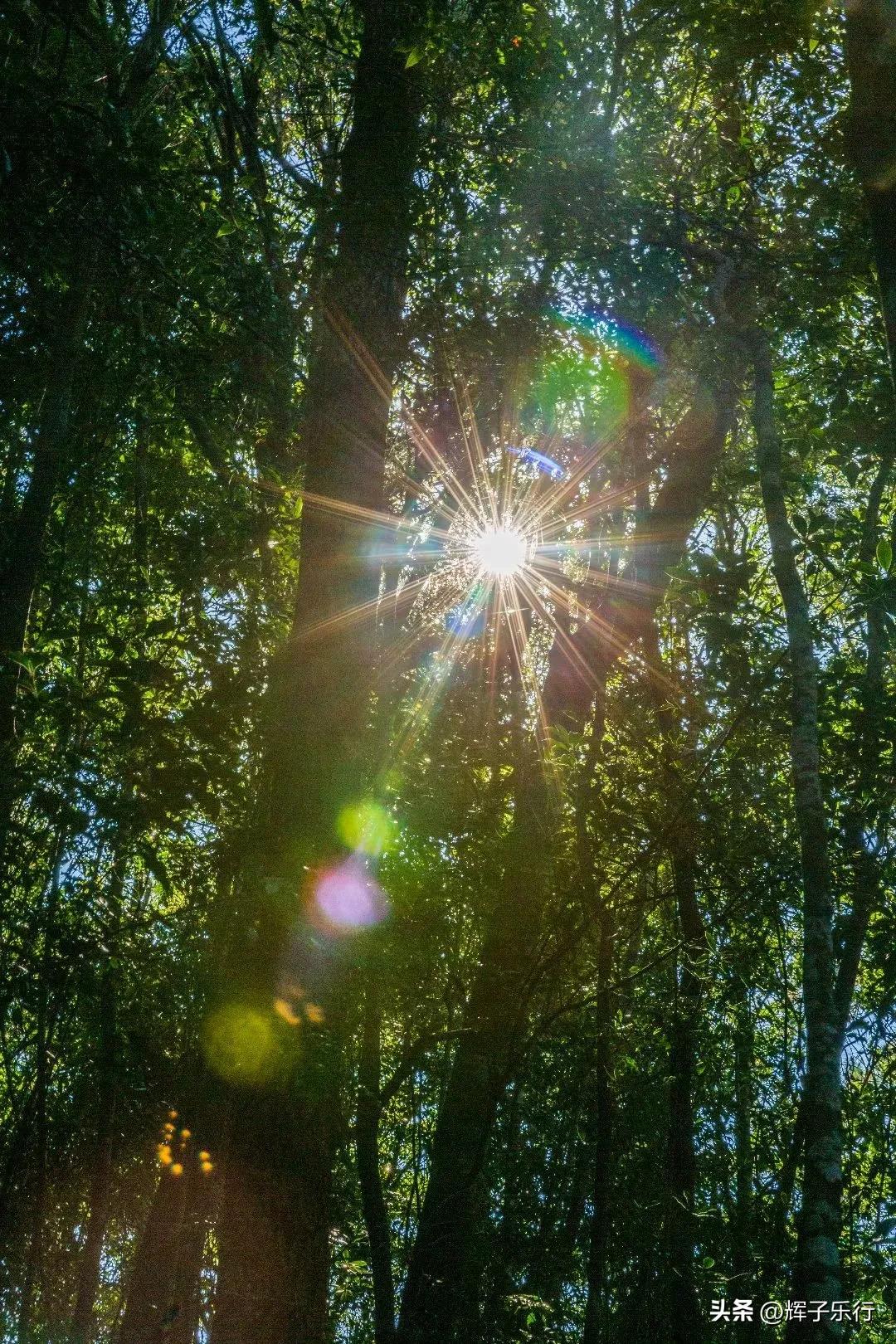 广东潮州凤凰海棠花谷，风光旖旎，3条绝美徒步线路值得一走