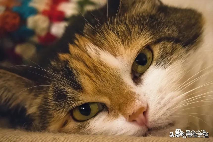 别急着打坐入定，先通关人间的关系道场