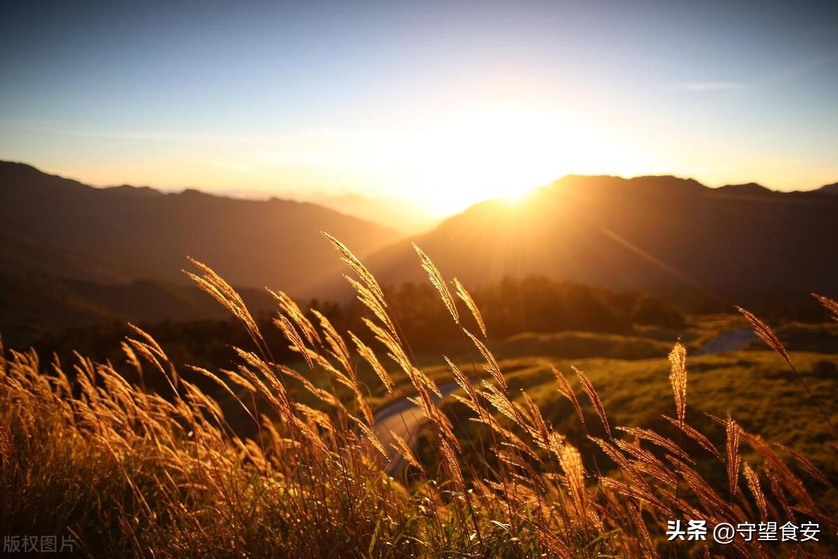 「今日各地历史习俗」农历三月十九，都有哪些传统风俗呢？