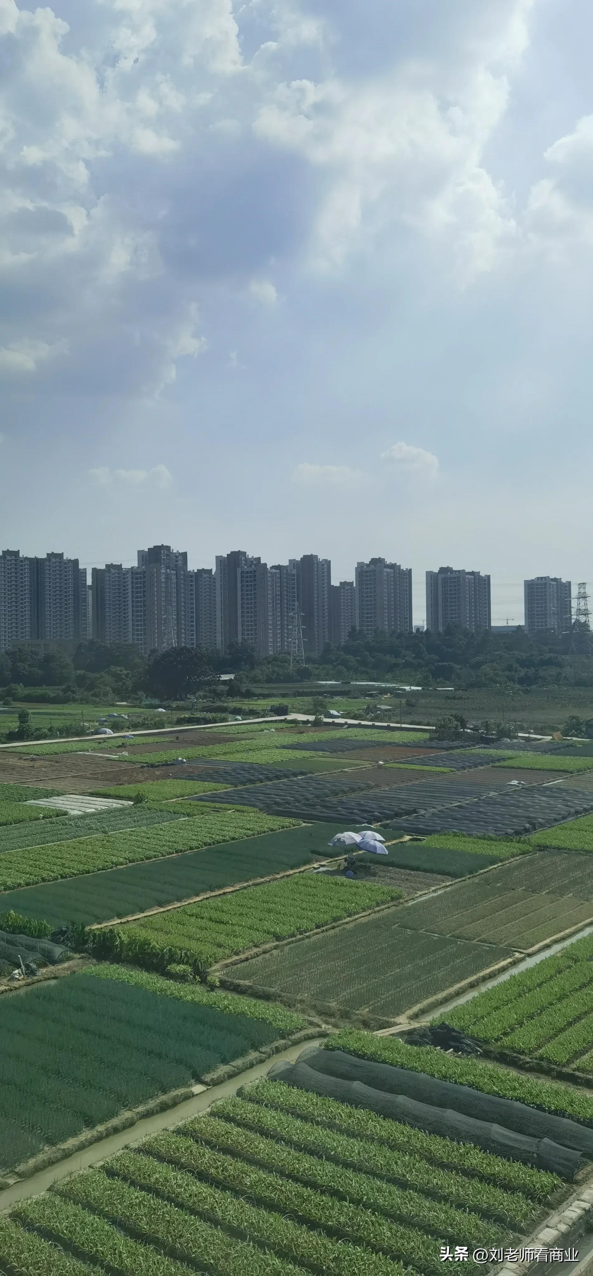 深圳至洛阳k536途经站点,从上海到洛阳k738列车