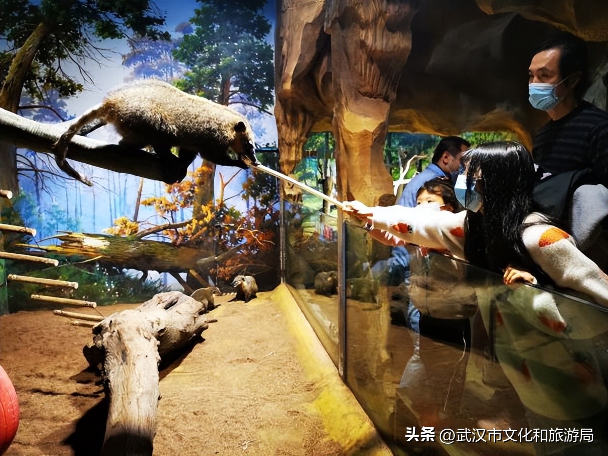 武汉野生动物园冰雪王国奇葩乐园,汉口北动物乐园