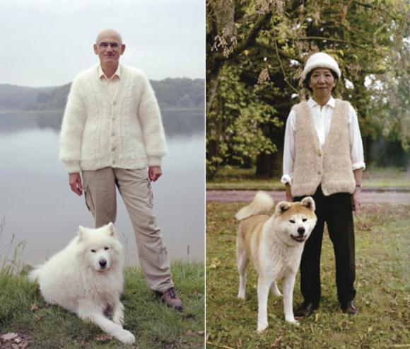 萨摩耶掉毛过程,萨摩耶铲屎官完整版