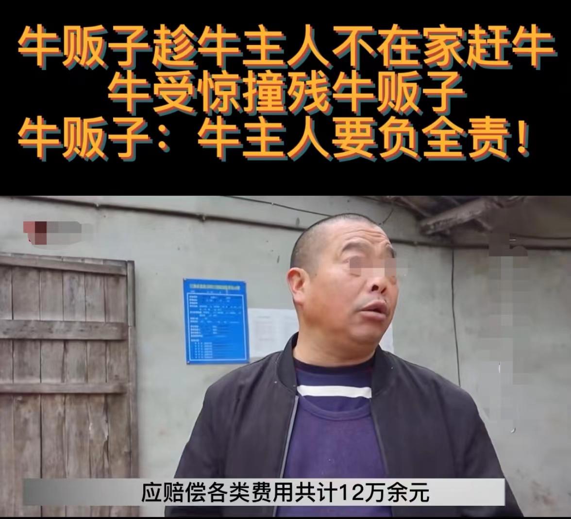 偷牛被牛撞死家属要求赔偿,卖牛被牛撞怎么分责任