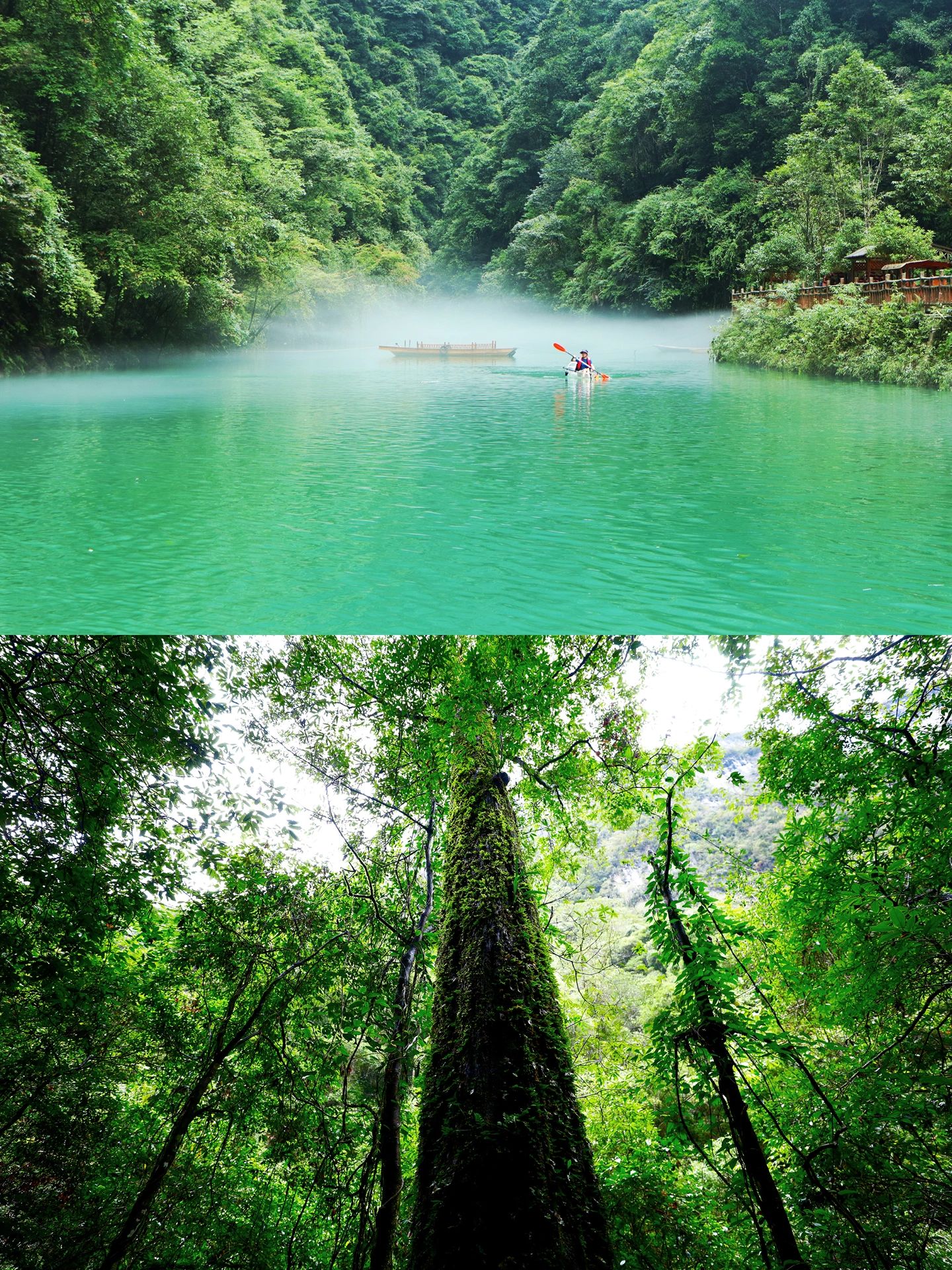 恩施旅游攻略自驾游最佳线路,西安至恩施5天4晚旅游攻略