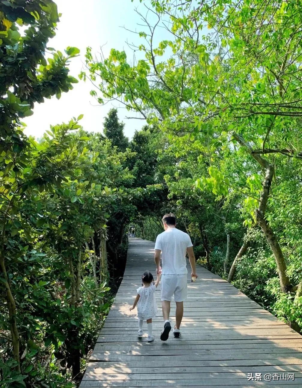 珠海值得去的海岛,珠海最适合游玩的海岛