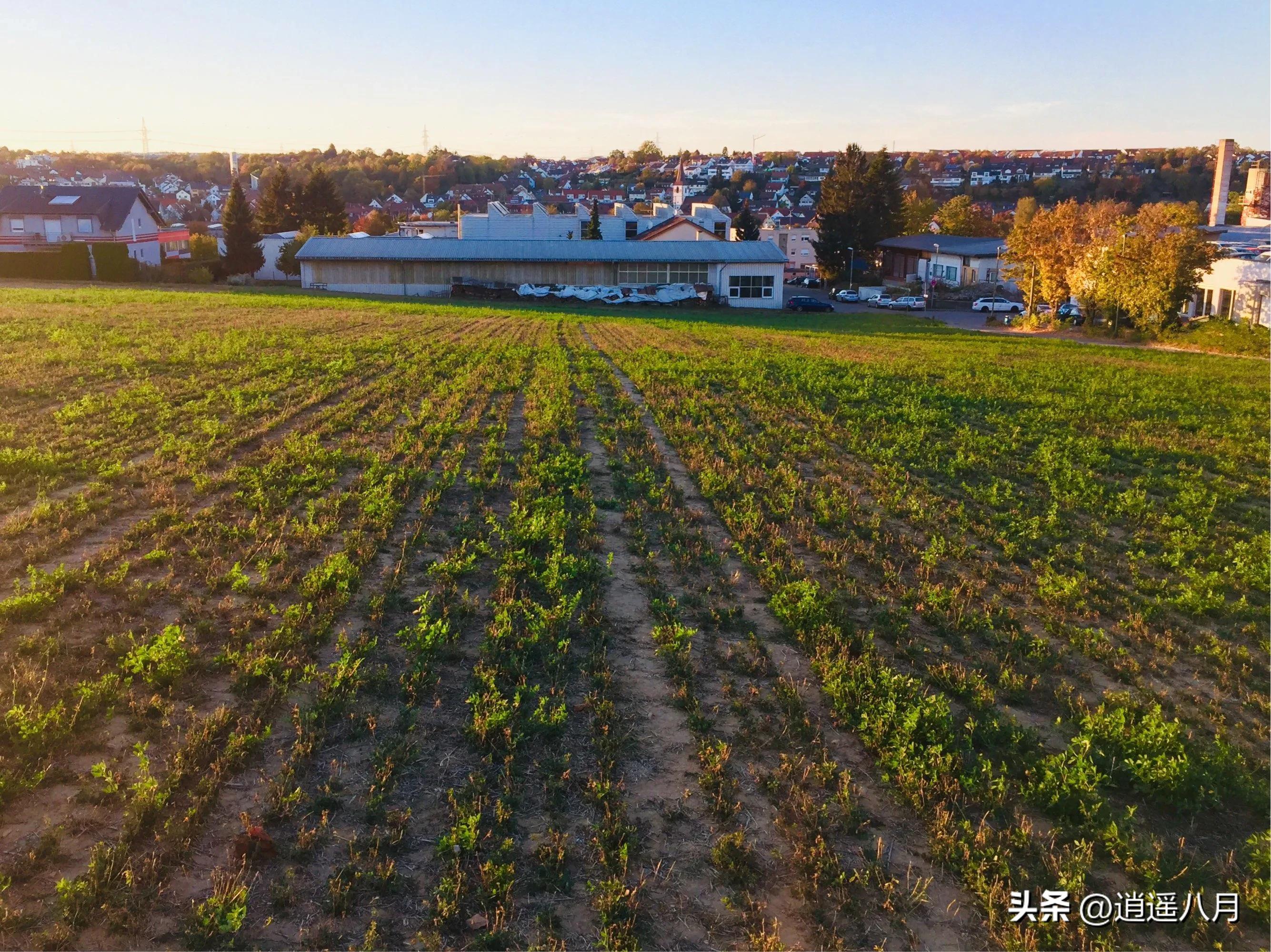 记录在德国的日子,德国周末狂欢
