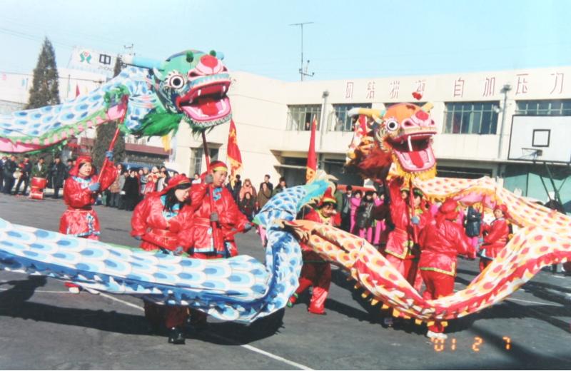 天津北辰区小淀镇刘安庄村,天津北辰小淀赵庄子刘安庄