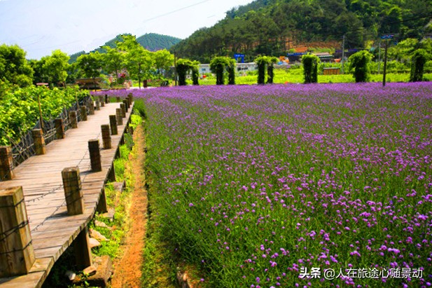 义乌必去十大景区在哪里,义乌适合现在游玩的地方