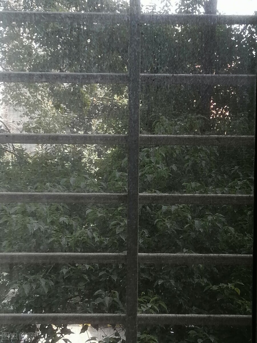 纱窗清洗不用花露水小妙招,清洗纱窗小妙招没有喷壶