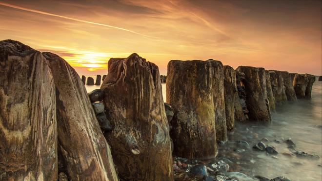 天蝎座为什么是星座之王,12星座天蝎座排第几名