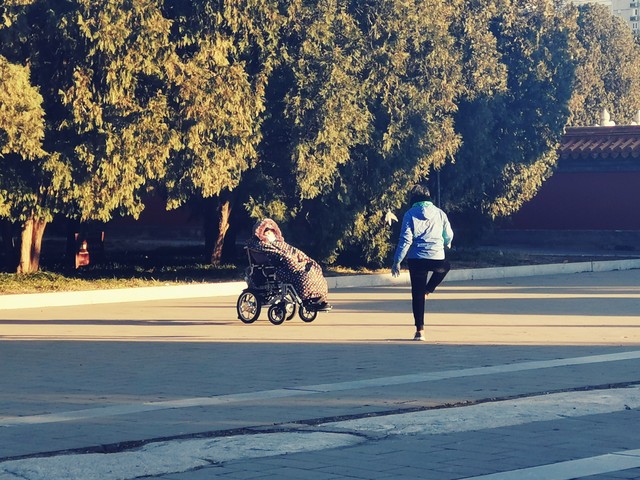 秋天的怀念史铁生,秋天的怀念朗读