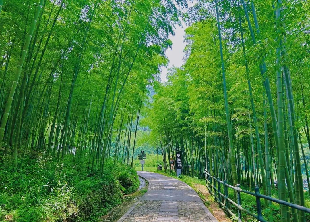 西九华山冬天风景区,西九华山夏季攻略