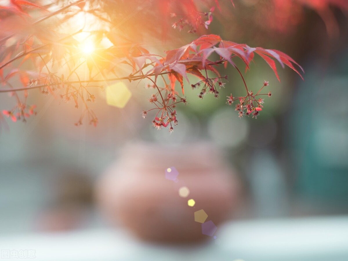 问号的内涵,问号的认识