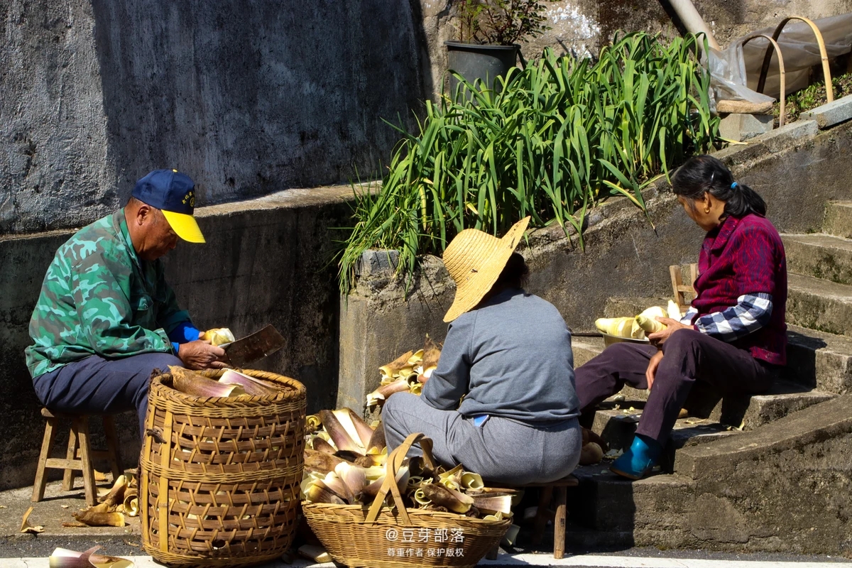 乡村共富寻味开化|九溪龙门太极村，江南土楼黄金屋