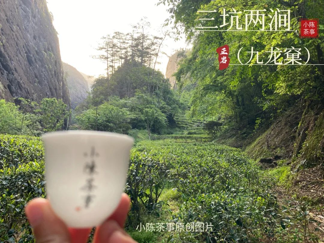 水仙肉桂大红袍金骏眉正山小种,大红袍正山小种金骏眉水仙肉桂