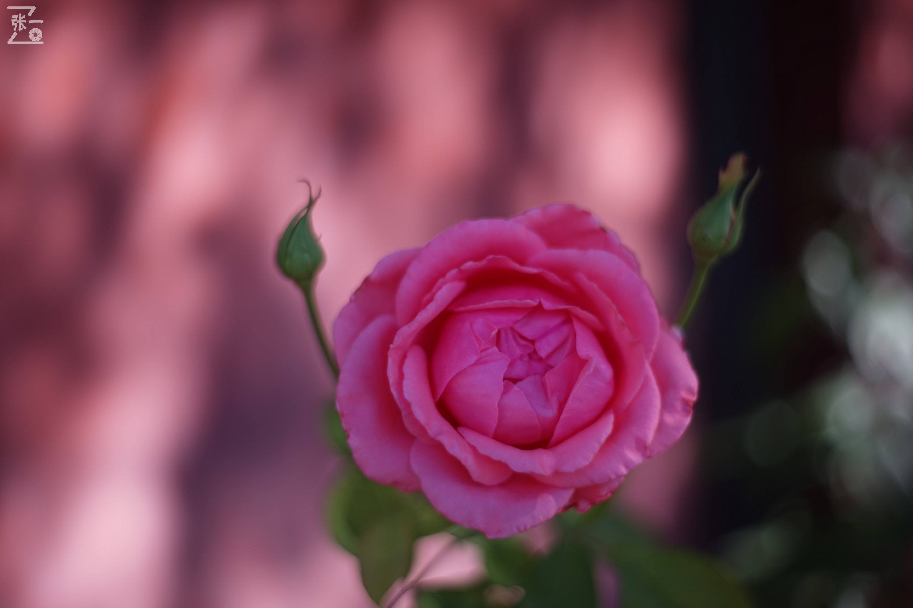 老镜头实拍,老镜头拍北京