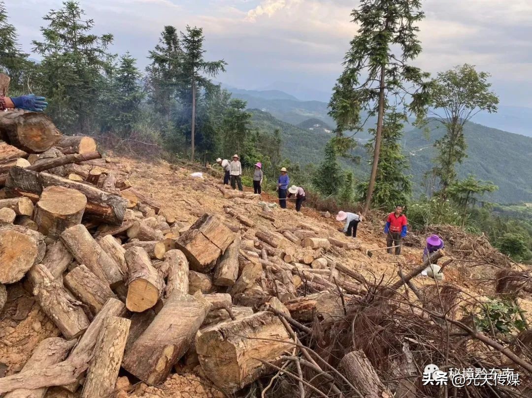 贵州90后回乡特色创业种植,黔东南州90后大学生返乡创业