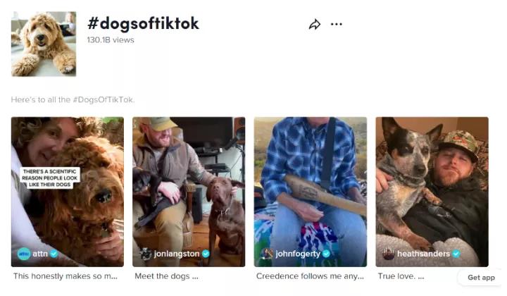 tiktok宠物食品价格,国际宠物用品市场前景分析