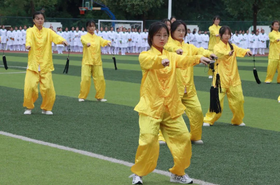 介绍护理学院,护理学院的学院简介