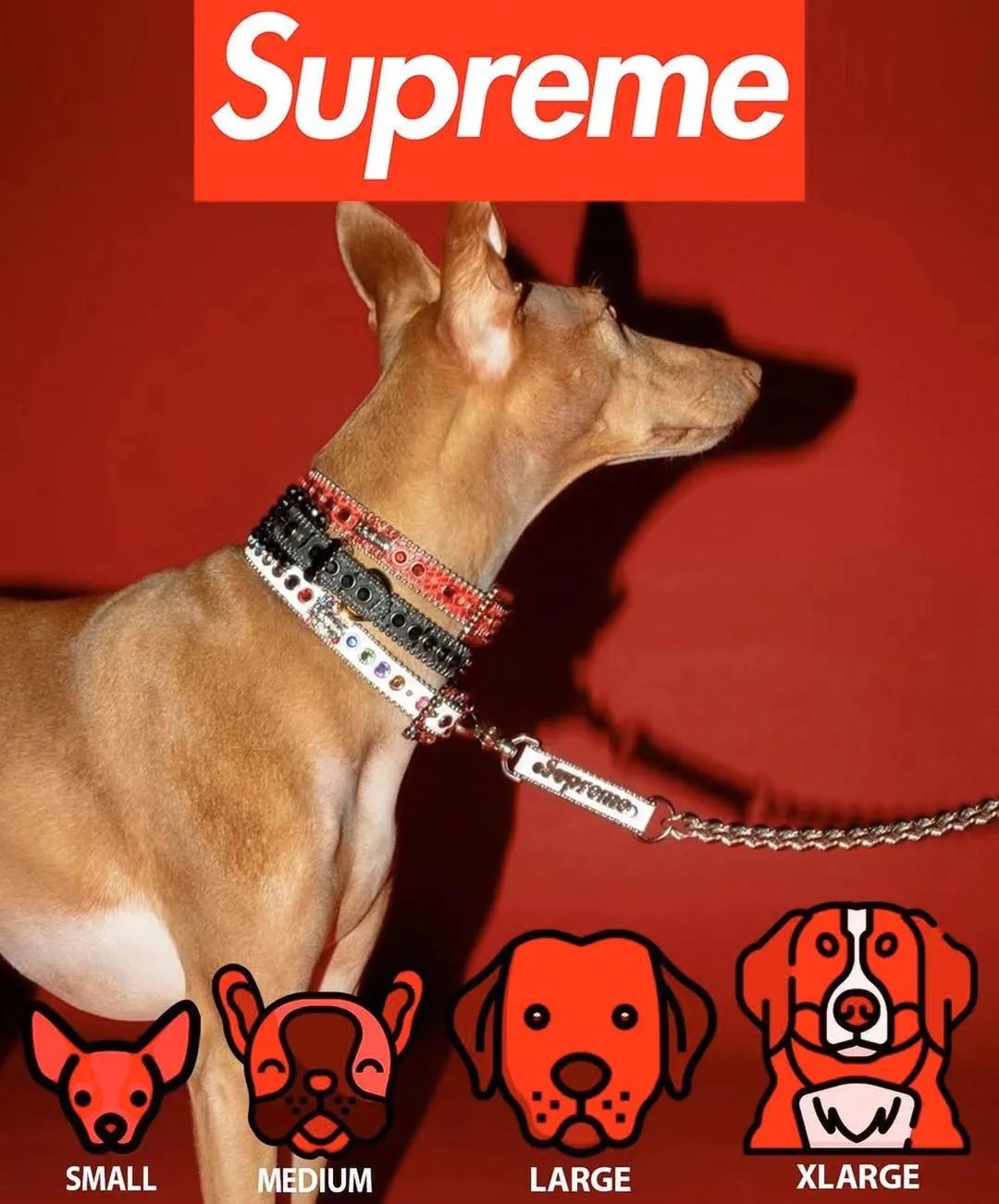 supreme第十二周发售价格,supreme2月